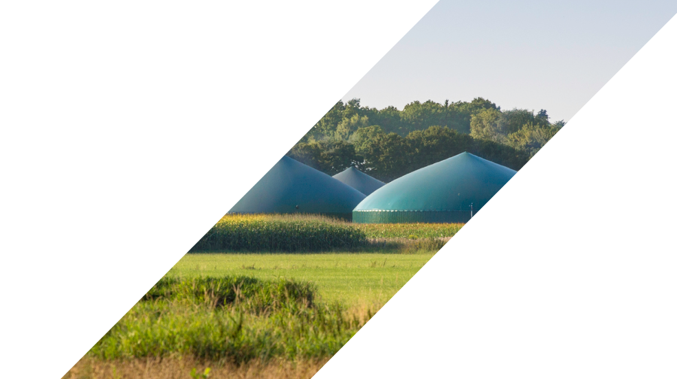 A picture of a bucolic countryside scene with the raised domes of biogas digesters in the middle distance, nestled among the rolling hills.